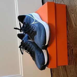 Nike Air Zoom Pegasus 39 Men's